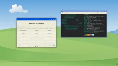 Ditched Windows for Linux: My Success Story