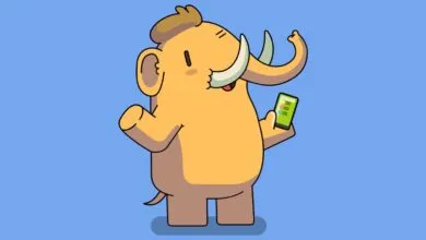 Mastodon: The Beginner’s Guide to the Open-Source Twitter Alternative