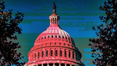 US Capitol dome with a pink glow against a blue sky, framed by trees.