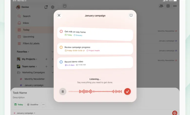 Task management app interface showing a January campaign with voice input.