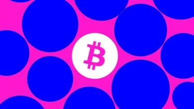 Bitcoin Hacker Ilya Lichtenstein Credits Trump for Early Release