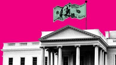 White House with a $100 bill flag against a bright pink background.