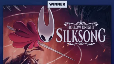 Silksong Crowned Steam’s Game of the Year