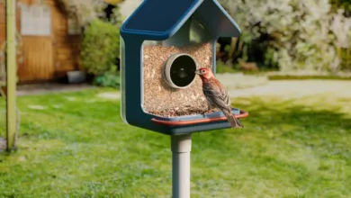Bird perched on a modern bird feeder with a built-in camera.