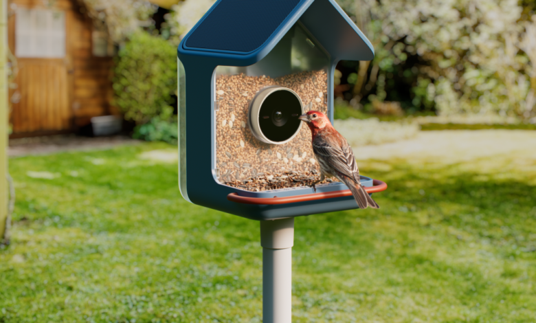 Bird perched on a modern bird feeder with a built-in camera.