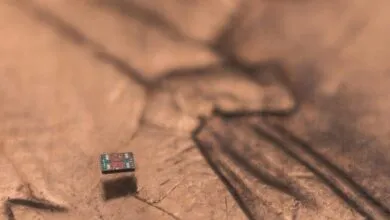 World’s Smallest Autonomous Aquatic Robot