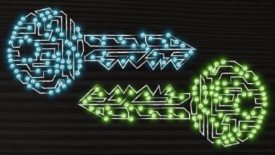 Microsoft Enables Federal Access to BitLocker Encryption