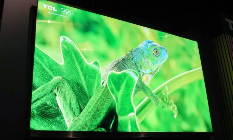TCL TV displays vibrant iguana image, showcasing color and clarity.
