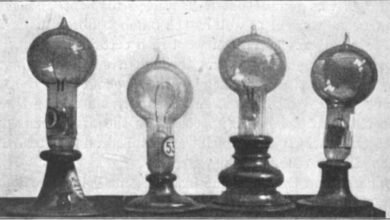 Four vintage light bulbs on display, each with a unique shape and base.