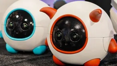 Meet Your Pet’s Personal Robot Cameraman