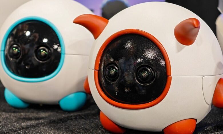 Two round, white robots with large camera 'eyes' and colorful accents.