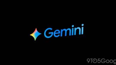 Gemini logo with a colorful star and blue text on a black background.