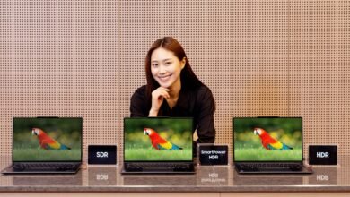 Woman displays laptops showing parrot image with SDR, SmartPower HDR, and HDR options.