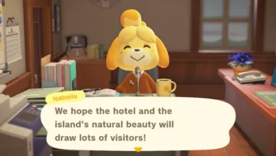 Animal Crossing’s 3.0 Update Arrives Early