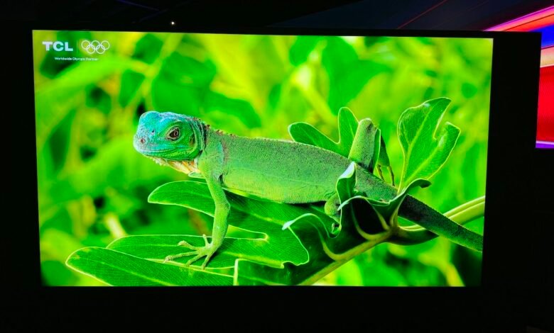 Green iguana displayed on a TCL television screen.