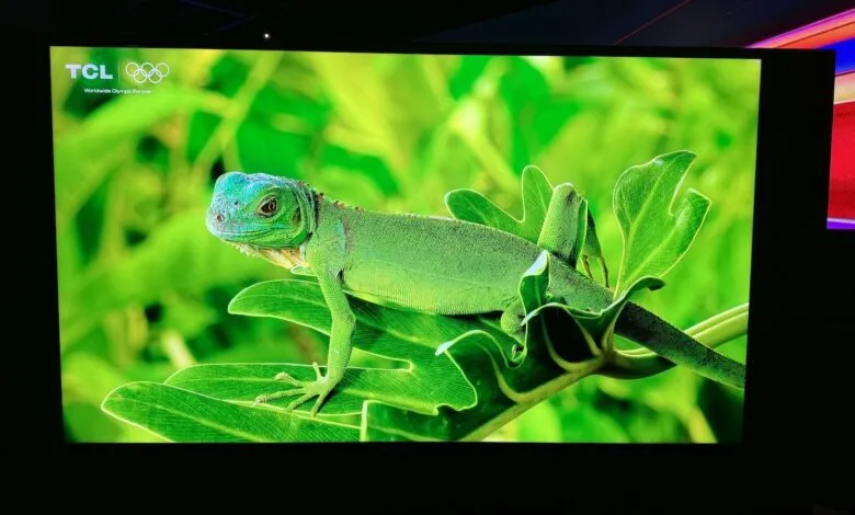 Green iguana displayed on a TCL television screen.