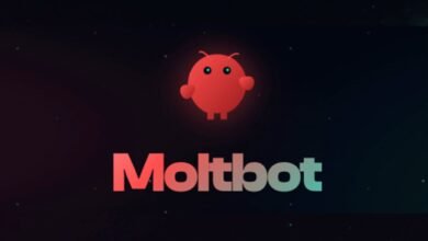 Moltbot logo with a red robot character and the company name.