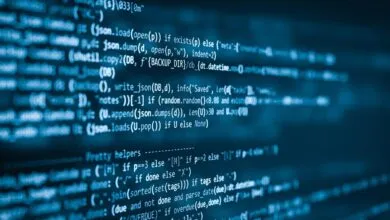 Linus Torvalds Embraces Vibe Coding