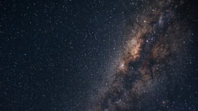 Night sky filled with countless stars and the Milky Way galaxy.