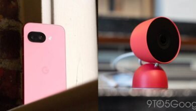 Google Pixel 10a ‘Berry’ Color Leaked for Mid-February Launch