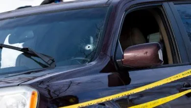 GoFundMe Hosts Legal Fund for ICE Agent Who Killed Renee Good