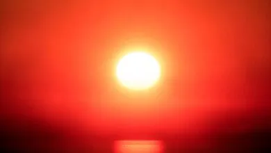 Oceans Reach Record-Breaking Temperatures