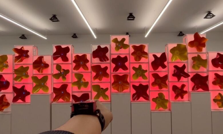 Interactive art installation with red and yellow flower-like shapes in illuminated boxes.