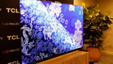 TCL X11L TV displaying intricate blue and white floral pattern.