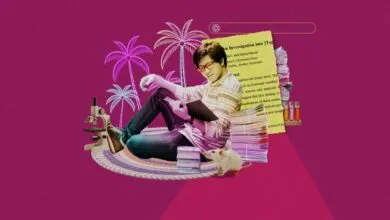 OpenAI’s New Tool Simplifies Coding for Science