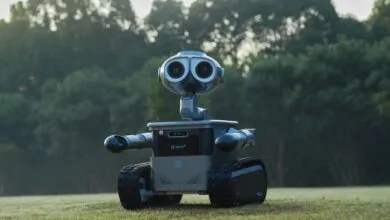 This Startup Built a Real WALL-E (and Its Quirky Cousin)