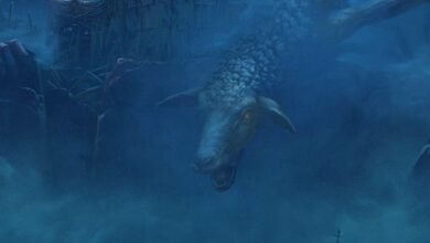 Reanimal Switch 2 Review: Is It Worth It?