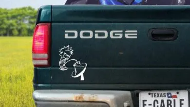 The Rise of TV Piracy: Why Everyone’s Doing It