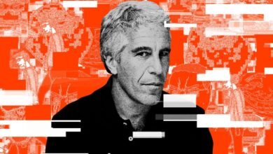 Portrait of Jeffrey Epstein with a distorted orange and white background.