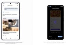 Two smartphones displaying app interactions: cat photos and pizza order.