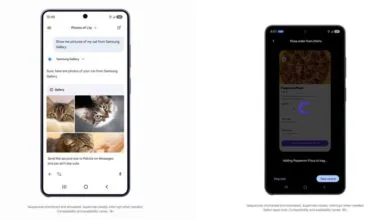 Gemini Can Now Use Android Apps via ‘AppFunctions’