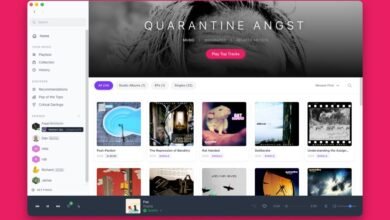 Music app interface showing 'Quarantine Angst' album with various singles and albums.