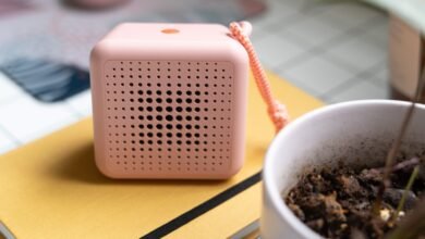 Need a Tiny Bluetooth Speaker to Brighten Your Day?