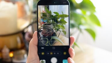 iPhone’s Anti-Algorithm Camera: Better with a Little Processing