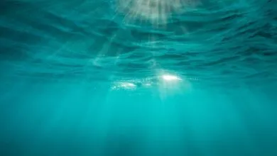 Apeiron Labs Raises $9.5M for Ocean-Exploring Autonomous Robots