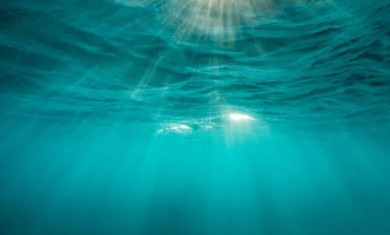 Sunlight streams through turquoise ocean water, creating a serene underwater scene.