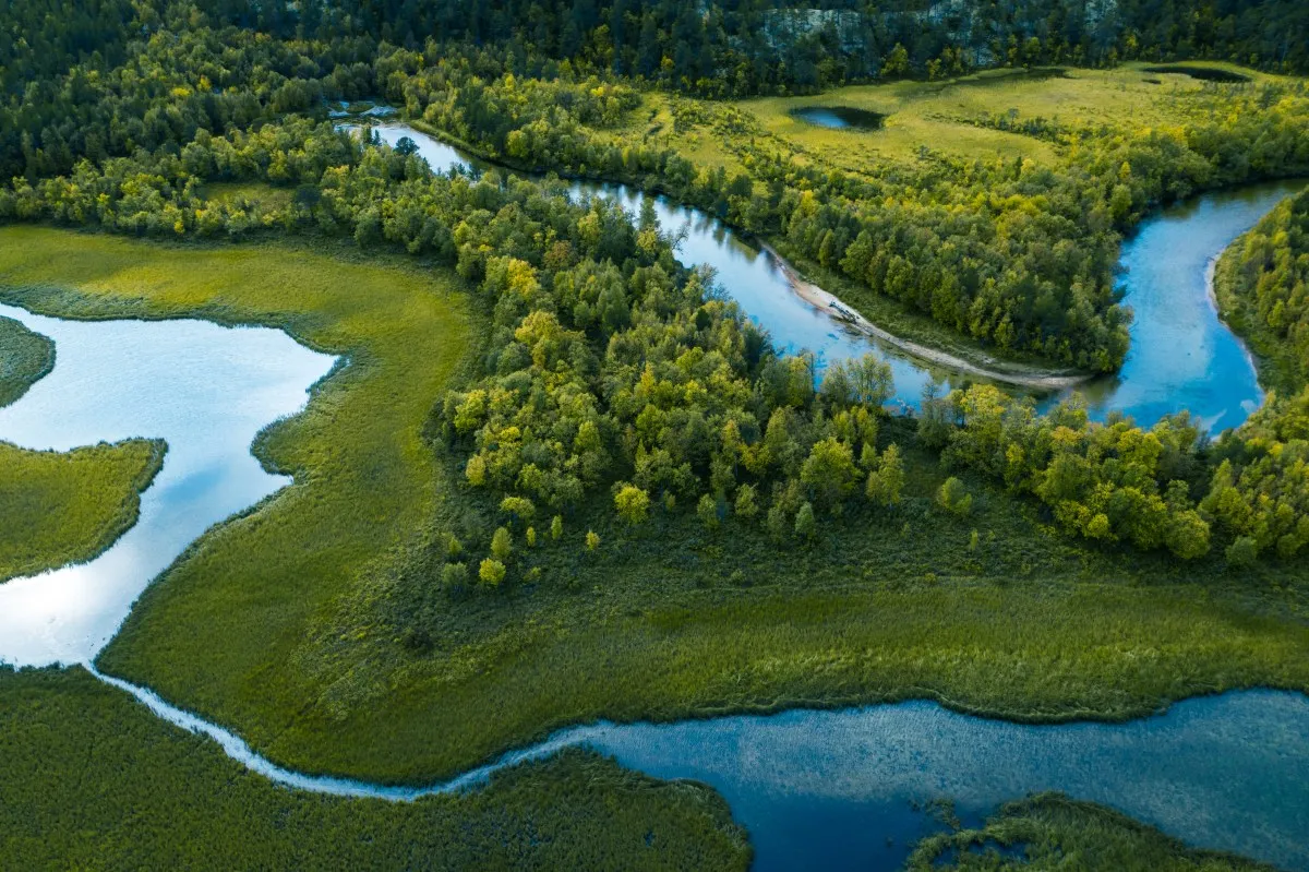 Aerial view of a winding river flowing through a lush green landscape.