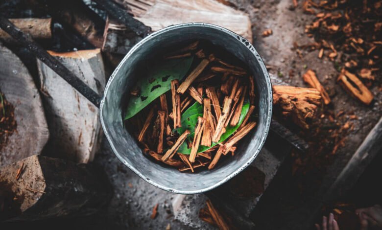 Overhead shot of metal pot with bark and leaves, preparing Ayahuasca.