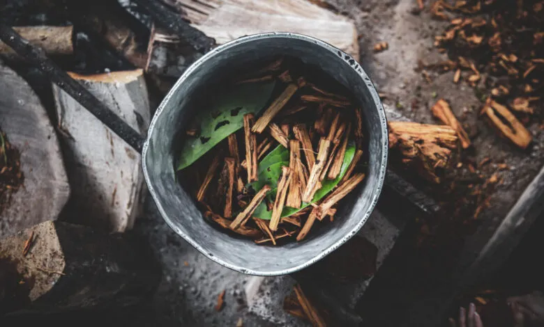 Overhead shot of metal pot with bark and leaves, preparing Ayahuasca.