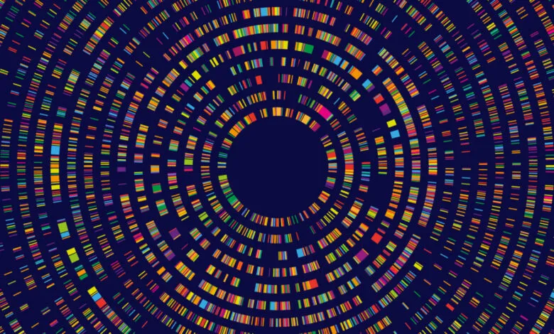 Circular DNA sequence map with colorful barcode-like segments.