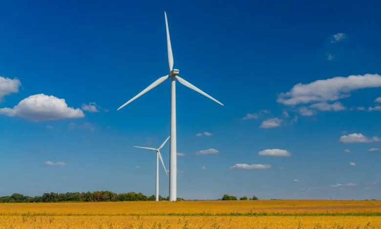 Two white wind turbines stand tall in a golden field under a blue sky.