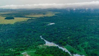 COVID-19 Lockdowns Unexpectedly Spiked Methane
