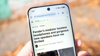 Chrome's Android Home Icon Gets a New Look