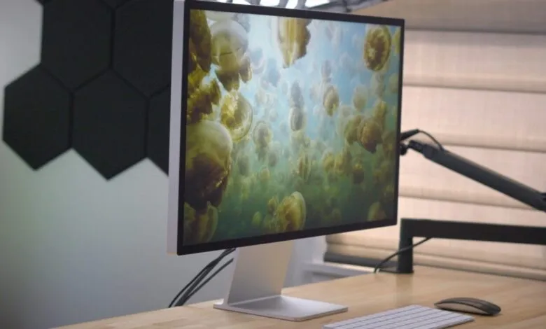 Apple Studio Display on a desk showing jellyfish wallpaper.