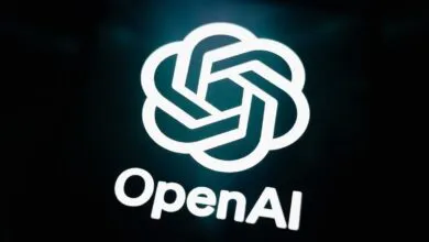 Riley Walz, Silicon Valley’s Jester, Joins OpenAI