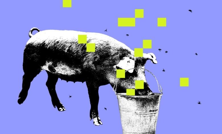Black and white pig drinking from bucket with yellow squares on blue background.